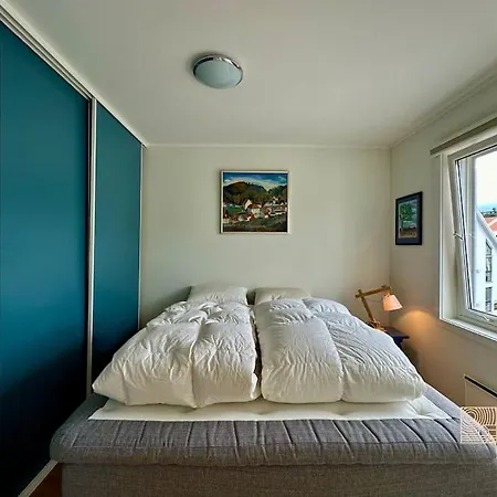 Penthouse In With Sea View And Sunny Terrace Apartment Kragero